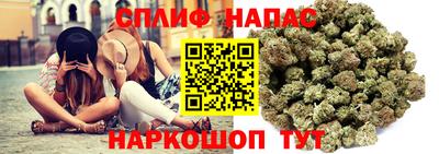амф Можга