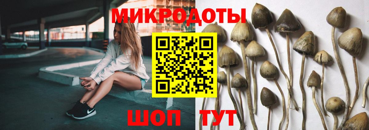 Псилоцибиновые грибы Magic Shrooms Ржев
